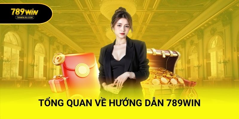 Tổng quan về hướng dẫn 789WIN