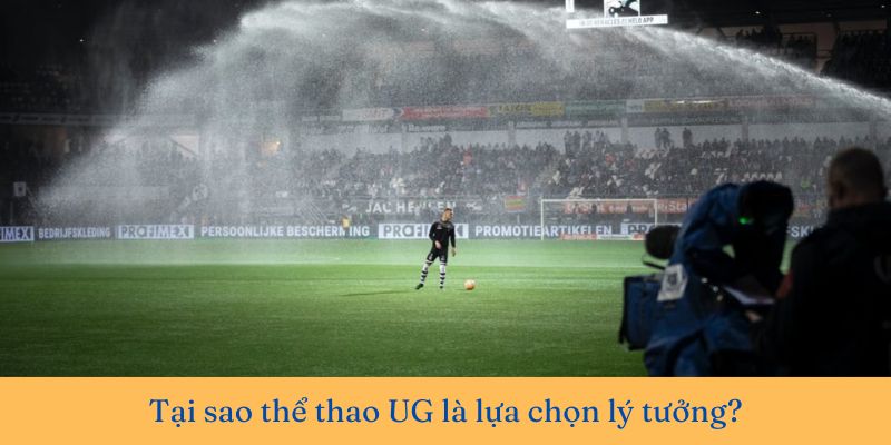 Lý do thể thao UG luôn là sự hoàn hảo cho mọi bet thủ