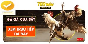 Đá gà cựa sắt