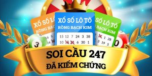 soi cầu 247