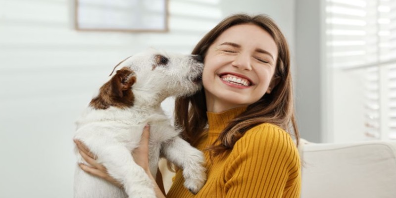 Quan niệm của người Việt về loài chó