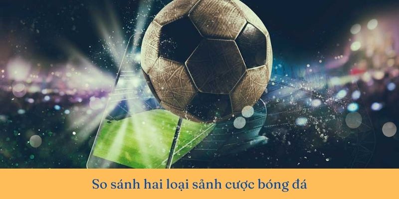 Nên cược bóng đá ở sảnh nào? Phân loại các sảnh cược bóng đá phổ biến nhất
